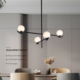 4 Light Pendant Light 23003-D04A-BK