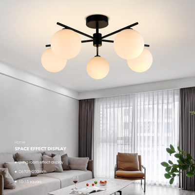 Celing light 23050-X05A-BK